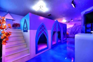 Frozen Themed Bedroom designed by Magic Interiors